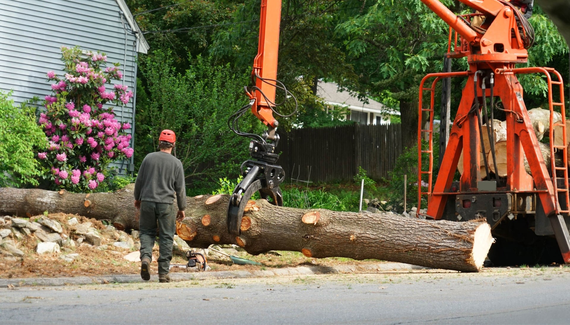 Tree Removal Service in NH